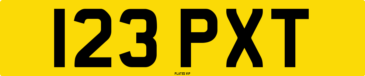123 PXT Number Plate