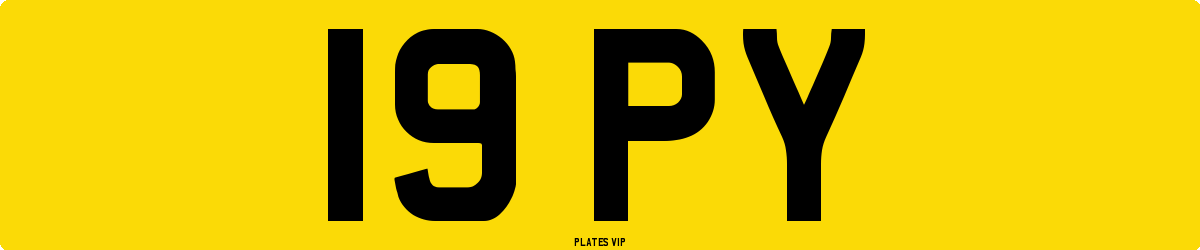 19 PY Number Plate