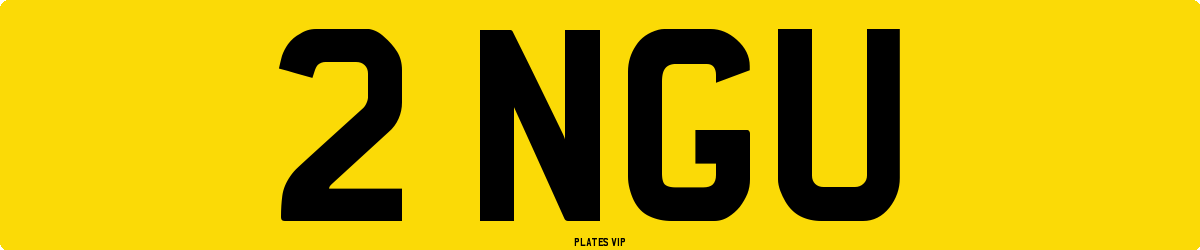 2 NGU Number Plate