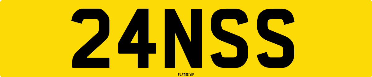 24NSS Number Plate