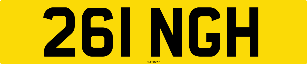261 NGH Number Plate