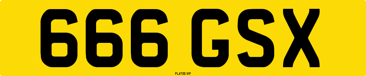 666 GSX Number Plate