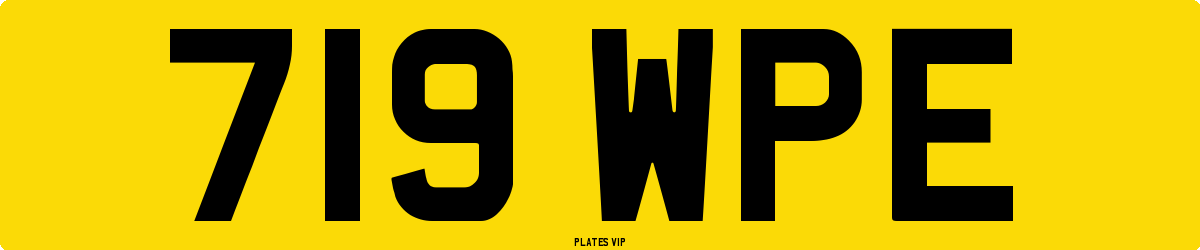 719 WPE Number Plate