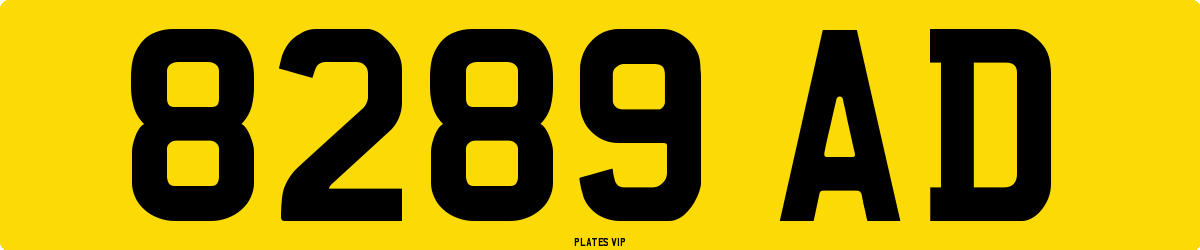 8289 AD Number Plate
