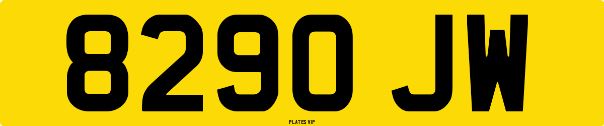 8290 JW Number Plate