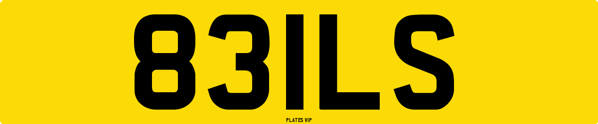 831LS Number Plate