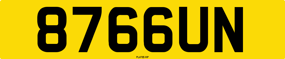 8766UN Number Plate