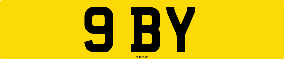 9 BY Number Plate