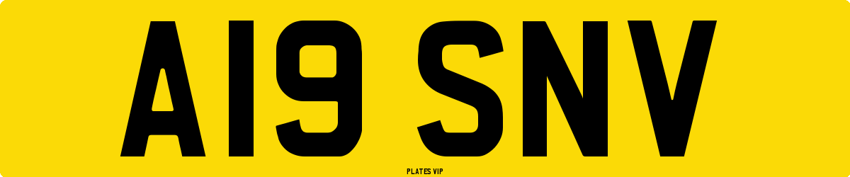 A19 SNV Number Plate