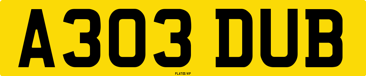 A303 DUB Number Plate