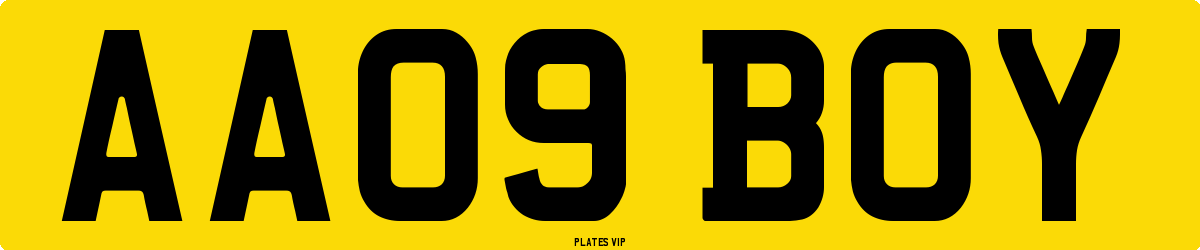 AA09 BOY Number Plate