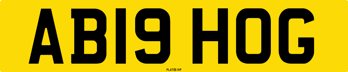 AB19 HOG Number Plate