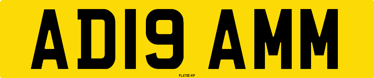 AD19 AMM Number Plate