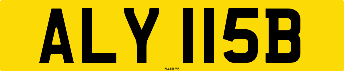 ALY 115B Number Plate