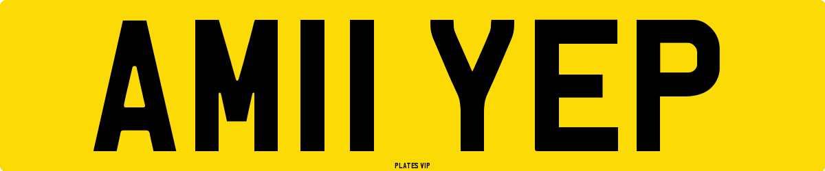 AM11 YEP Number Plate