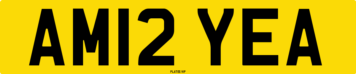 AM12 YEA Number Plate