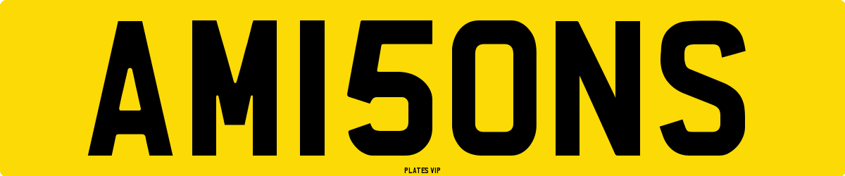 AM15ONS Number Plate