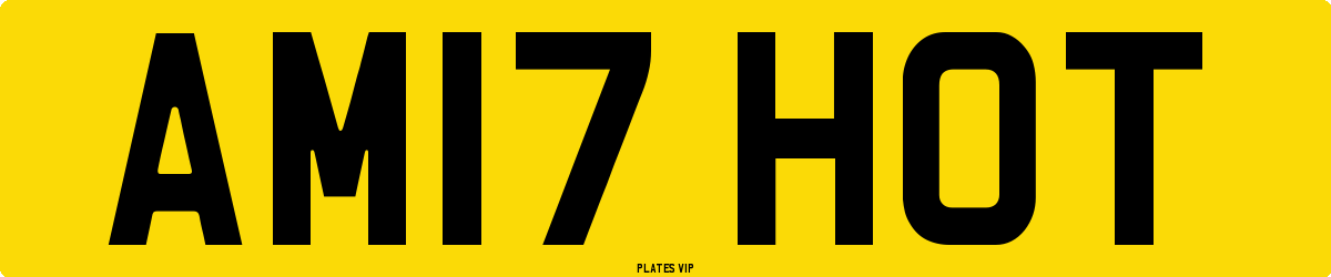 AM17 HOT Number Plate