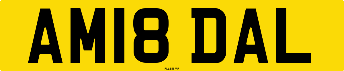 AM18 DAL Number Plate
