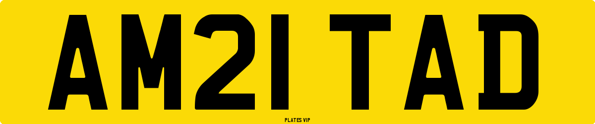 AM21 TAD Number Plate