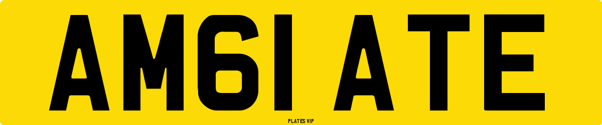 AM61 ATE Number Plate
