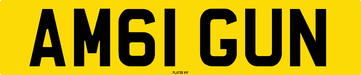 AM61 GUN Number Plate