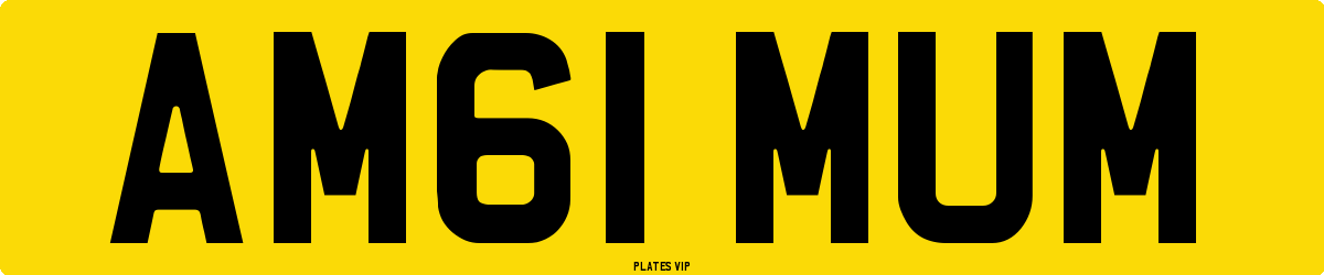 AM61 MUM Number Plate