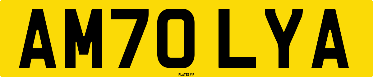AM70 LYA Number Plate