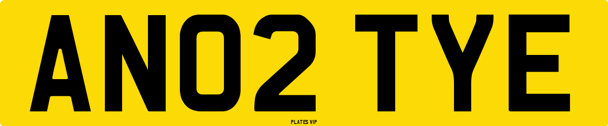 AN02 TYE Number Plate