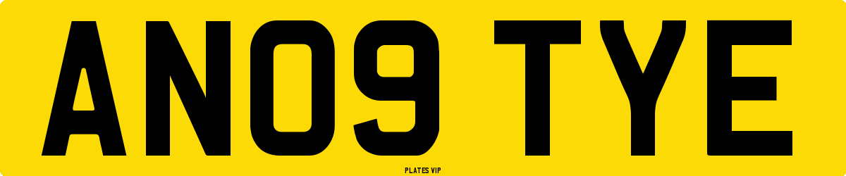 AN09 TYE Number Plate