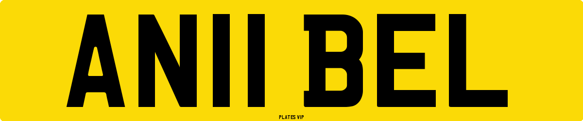 AN11 BEL Number Plate