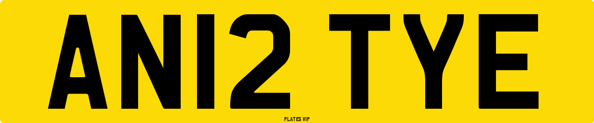 AN12 TYE Number Plate