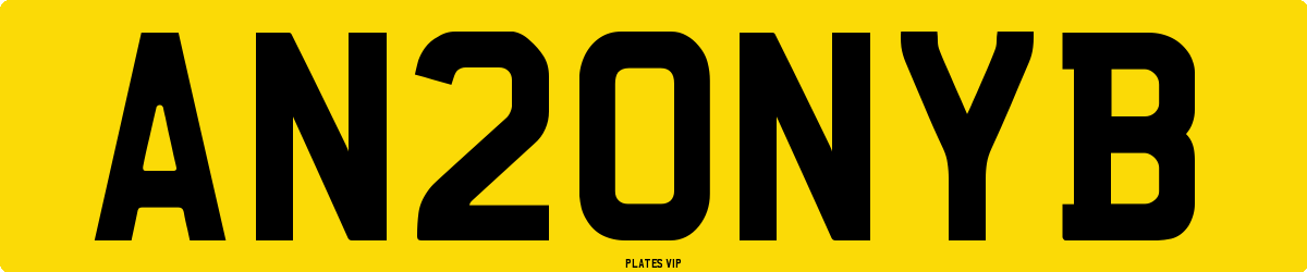 AN20NYB Number Plate