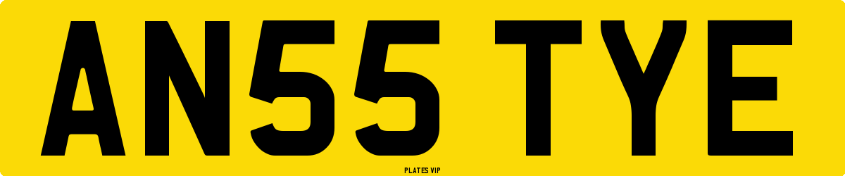 AN55 TYE Number Plate