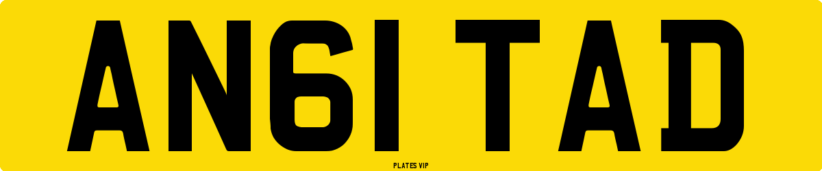 AN61 TAD Number Plate