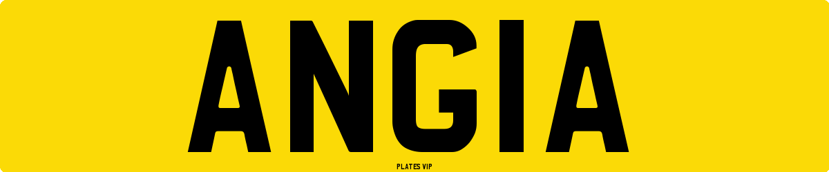 ANG1A Number Plate
