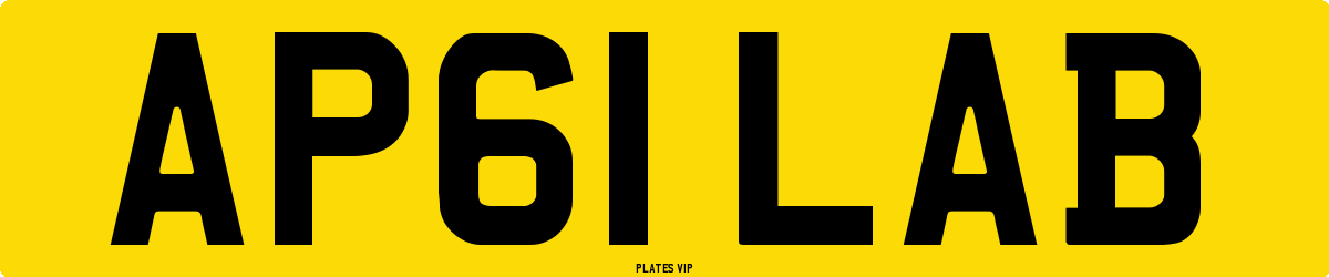 AP61 LAB Number Plate