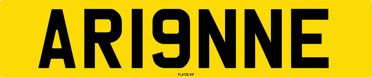 AR19NNE Number Plate