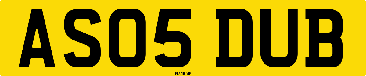 AS05 DUB Number Plate