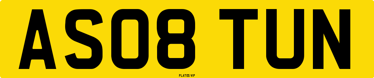 AS08 TUN Number Plate