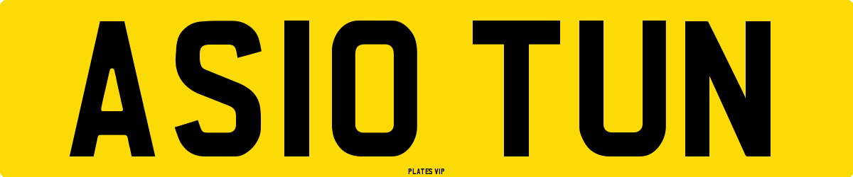 AS10 TUN Number Plate