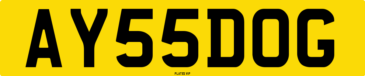 AY 55 DOG Number Plate