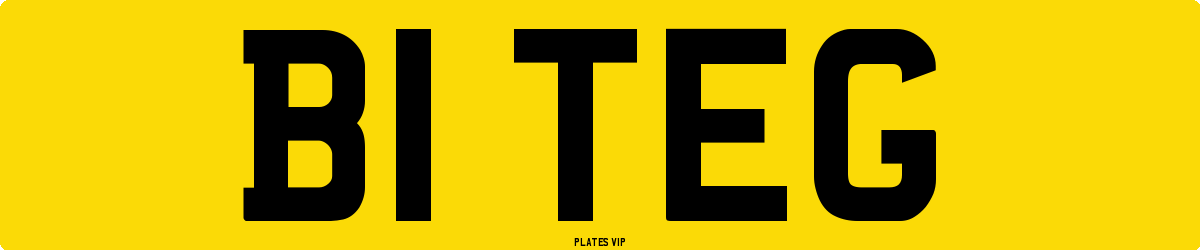 B1 TEG Number Plate