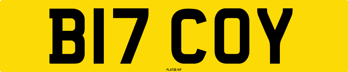 B17 COY Number Plate