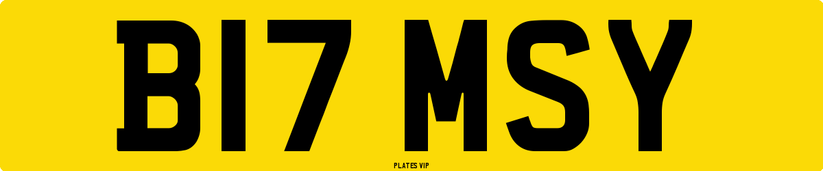 B17 MSY Number Plate