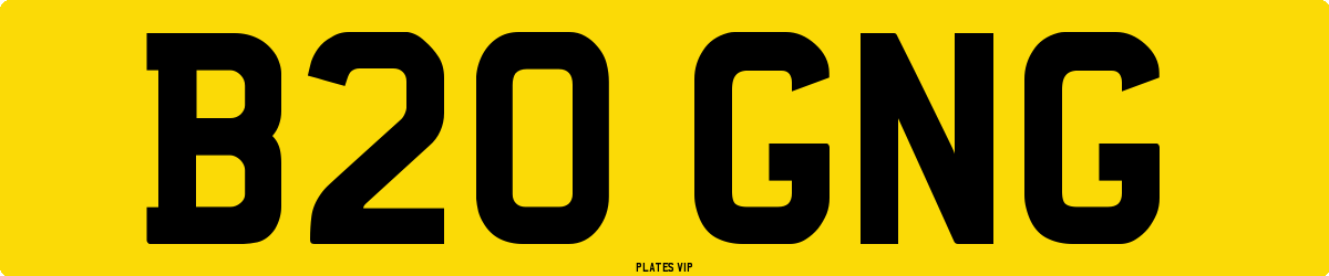 B20 GNG Number Plate