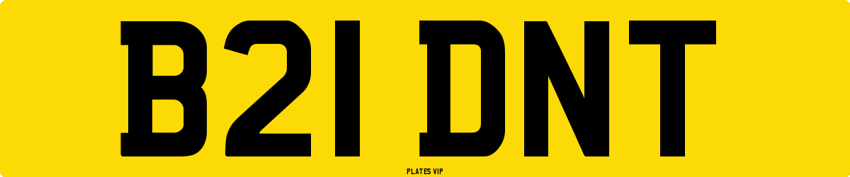 B21 DNT Number Plate