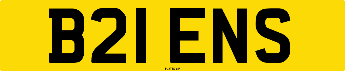 B21 ENS Number Plate