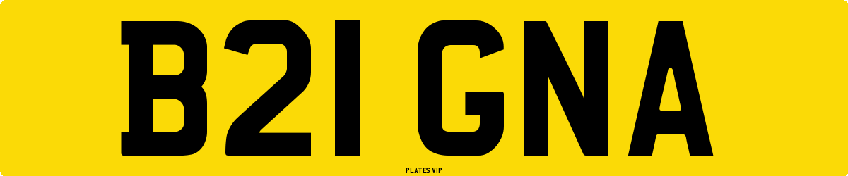 B21 GNA Number Plate