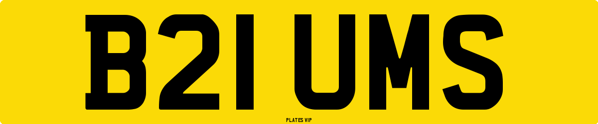 B21 UMS Number Plate
